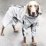 Combinaison Imperméable Chien