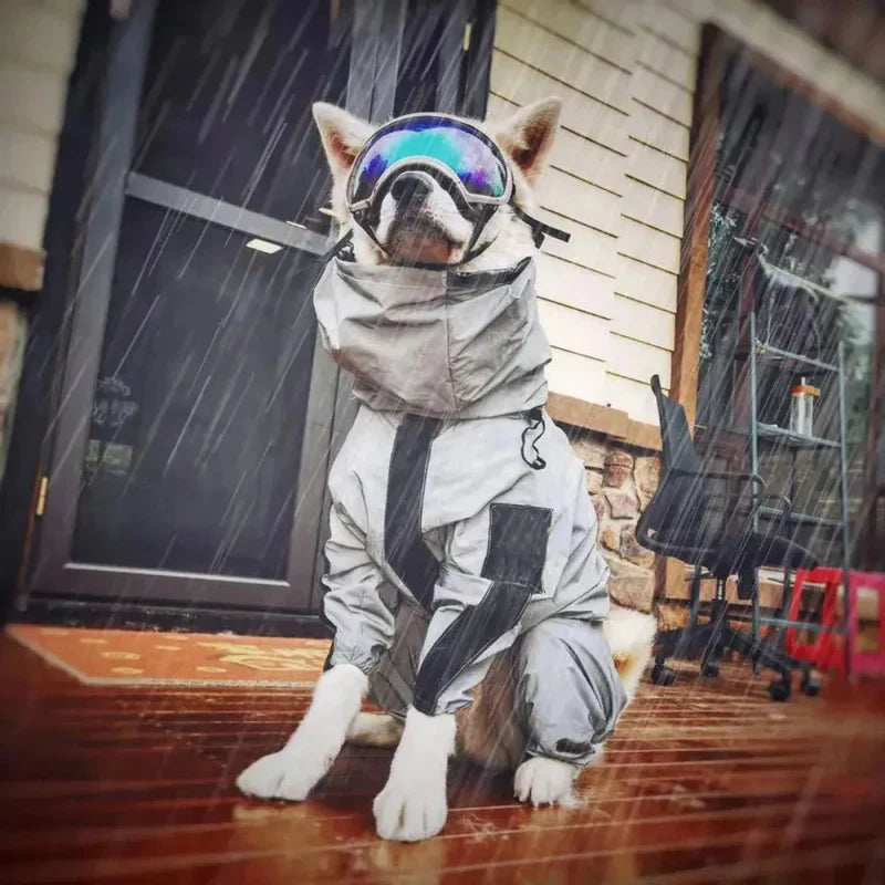 Combinaison Imperméable Chien