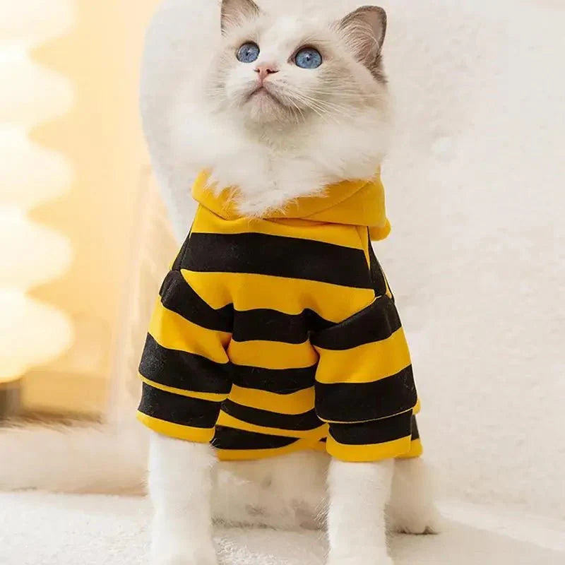 Costume Abeille Chat