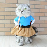Costume Ninja pour Chat