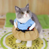 Costume Ninja pour Chat
