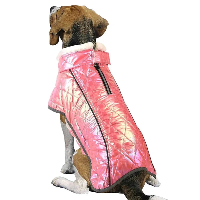 Manteau Rose Grand Chien