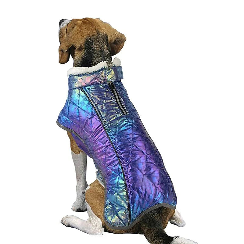 Manteau Réfléchissant Intégral Chien