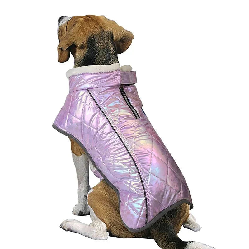 Coupe Vent Violet Chien
