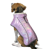 Coupe Vent Violet Chien