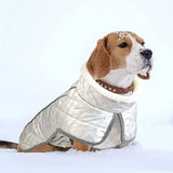 Manteau Coup Vent Chien