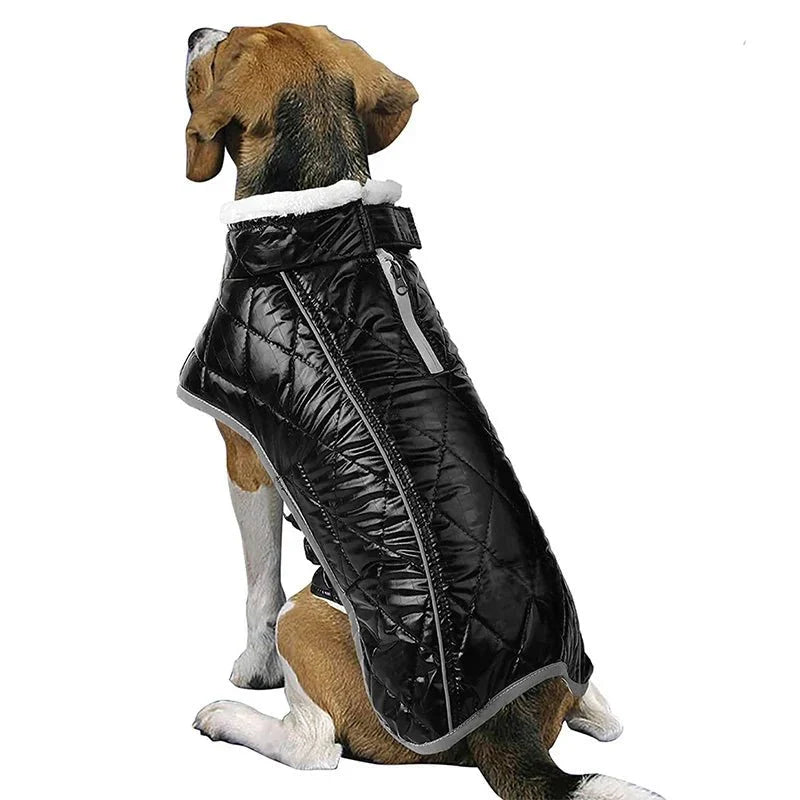 Coupe-Vent Chien