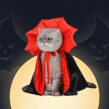 Déguisement Chat Dracula