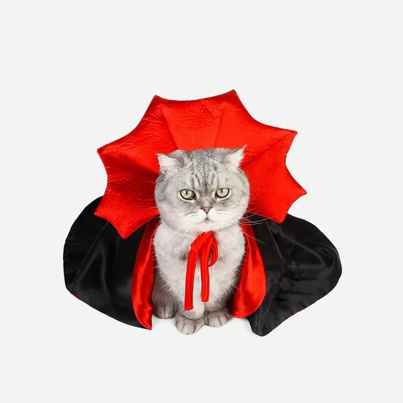 Déguisement Chat Dracula