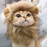 Déguisement Chat Lion
