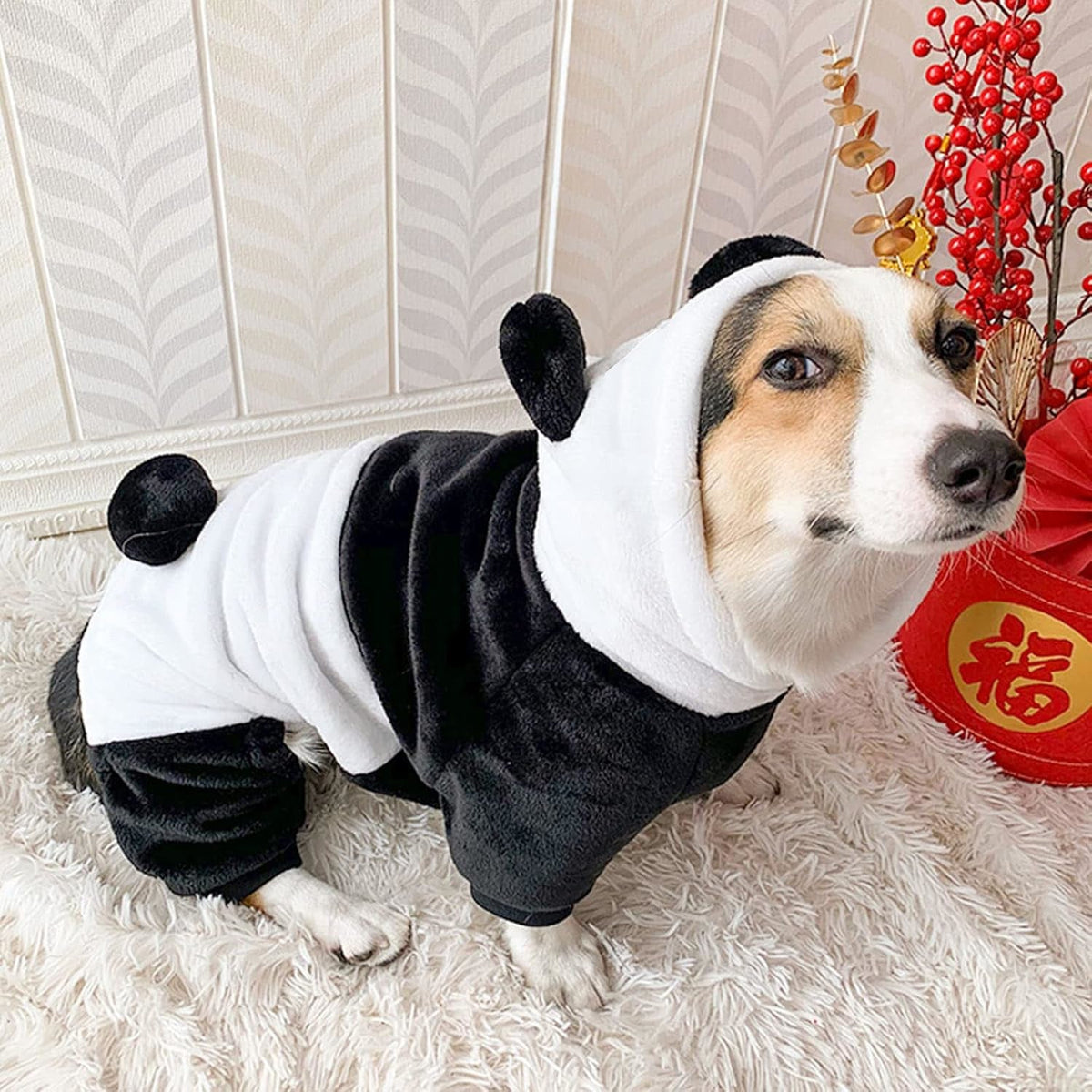 Déguisement Chien Panda