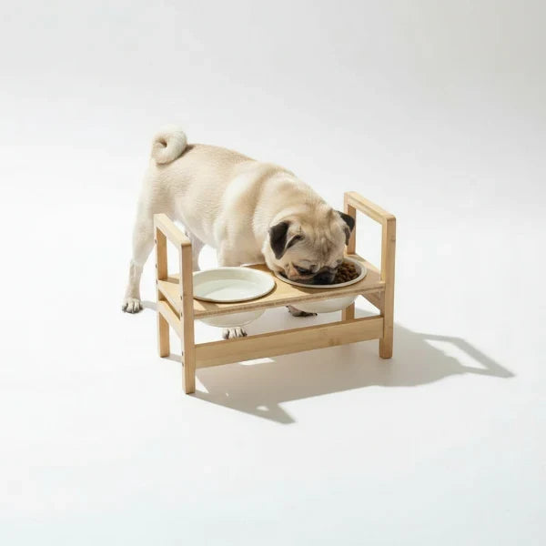 Gamelle réglable En Céramique Pour Chien