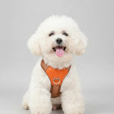 Harnais Robuste Pour Chien Ajustable