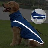 Imperméable Chien Grande Taille