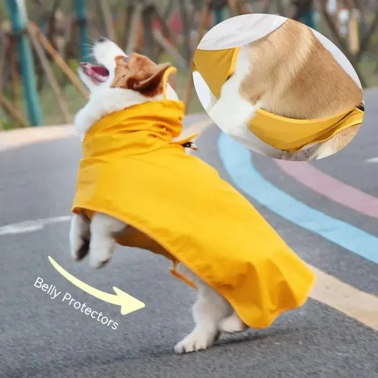 Imperméable Jaune Chien