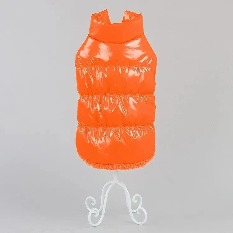 Imperméable pour Chat