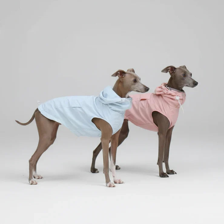Imperméable A Capuche Pour Lévrier Et Whippet