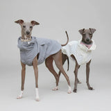 Imperméable A Capuche Pour Lévrier Et Whippet