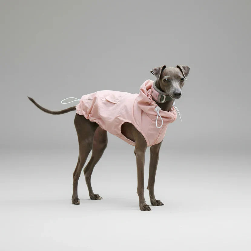 Imperméable pour lévrier et Whippet en rose avec capuche et col ajustable pour chiens élégants