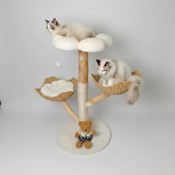 Arbre à chat griffoir en bois massif avec sisal