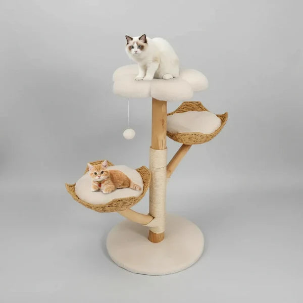Arbre à chat griffoir en bois massif avec sisal