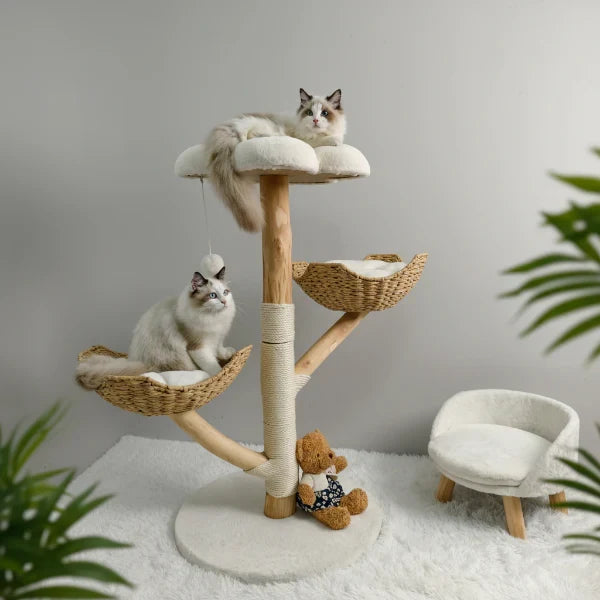 Arbre à chat griffoir en bois massif avec sisal
