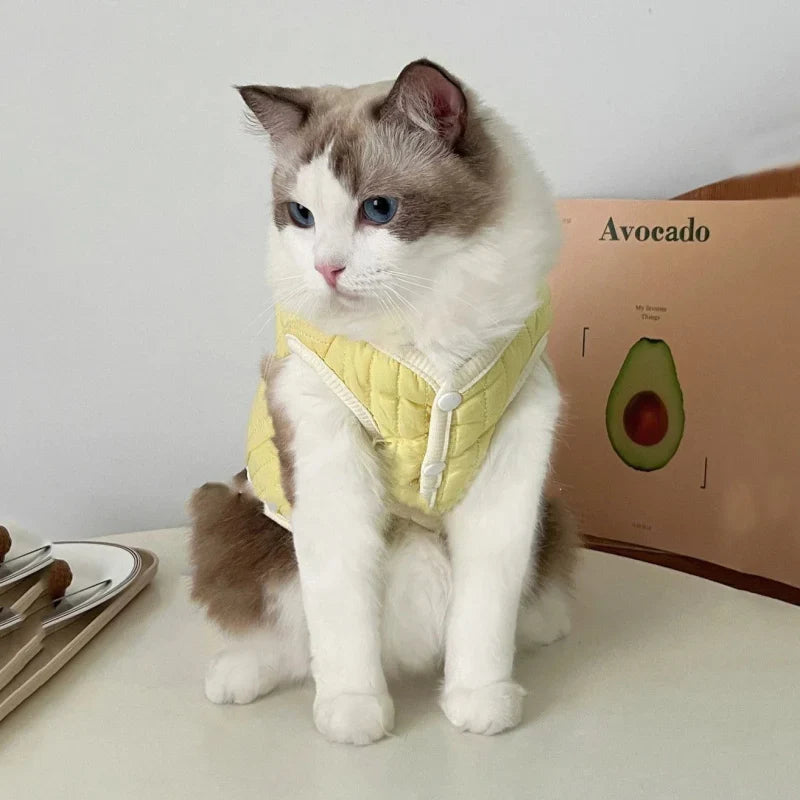 Manteau Chat et Chiot