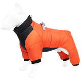 Manteau Chien Chaud Orange