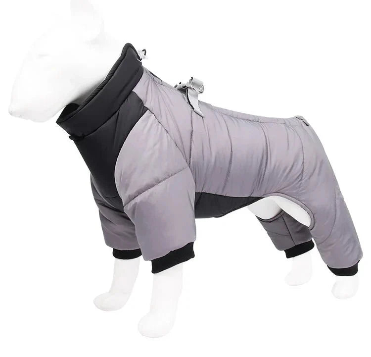 Manteau Chien Chaud