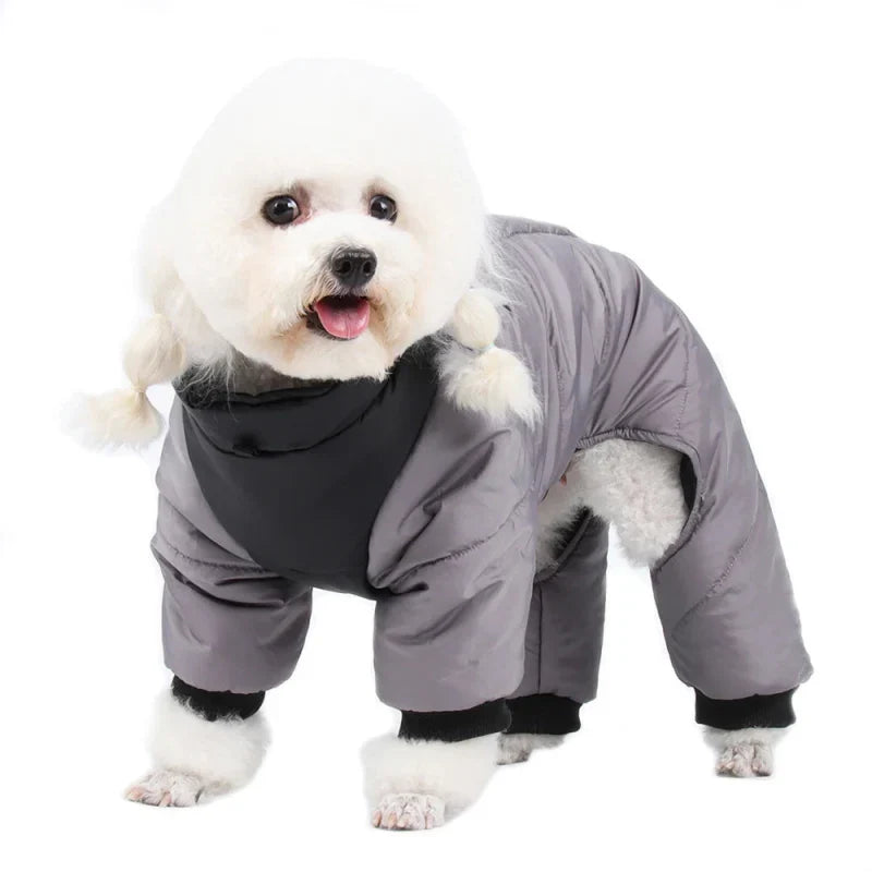 manteau intégral chien