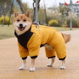 Manteau Chien Chaud
