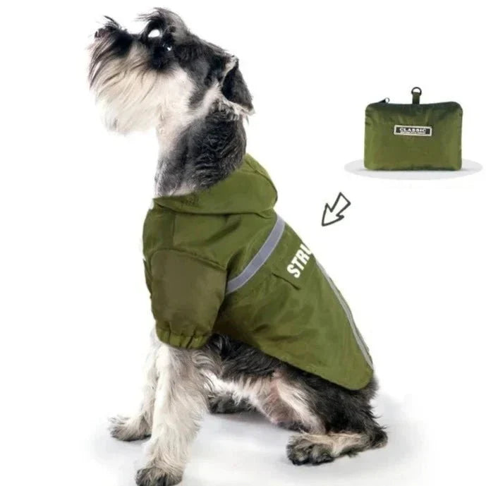 Manteau Chien Kaki