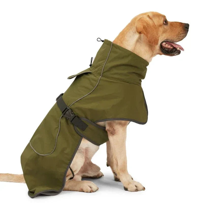 veste chien imperméable