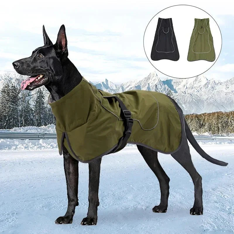 Manteau Chien style Equitheme