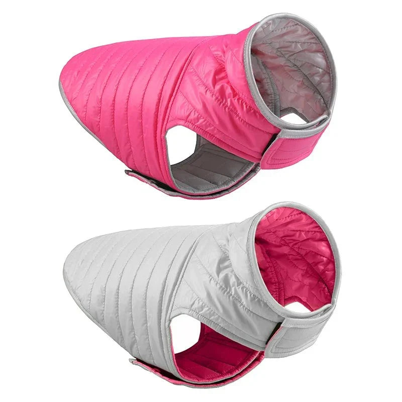 Manteau Chien Velcro