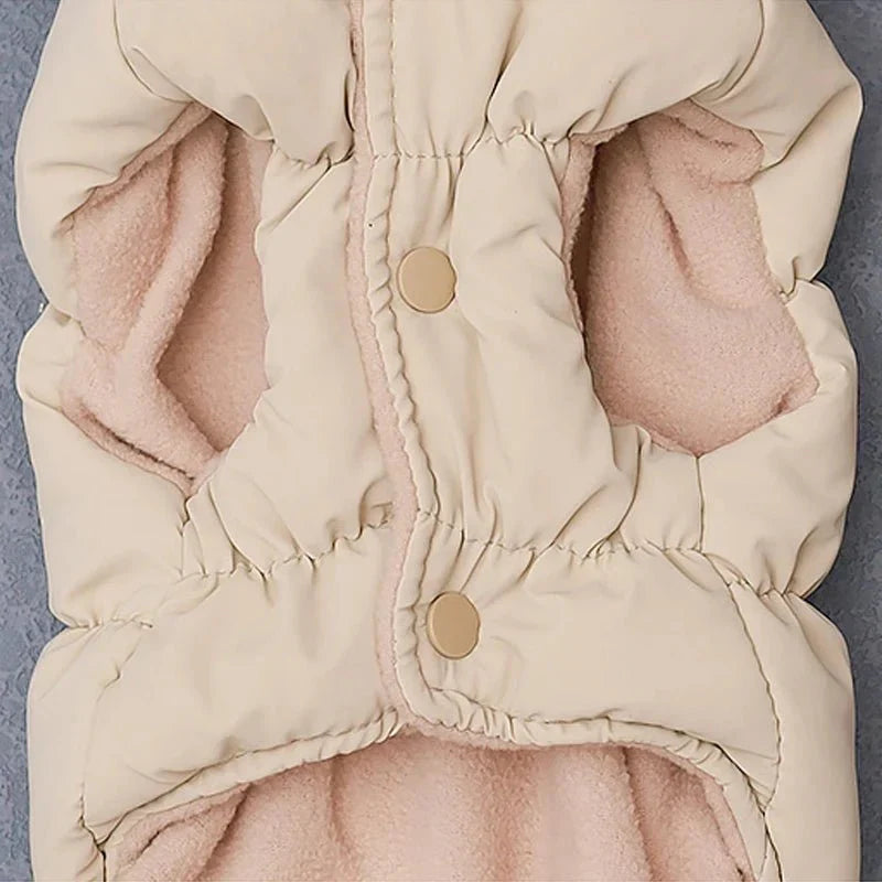 Manteau Chihuahua & petit chien