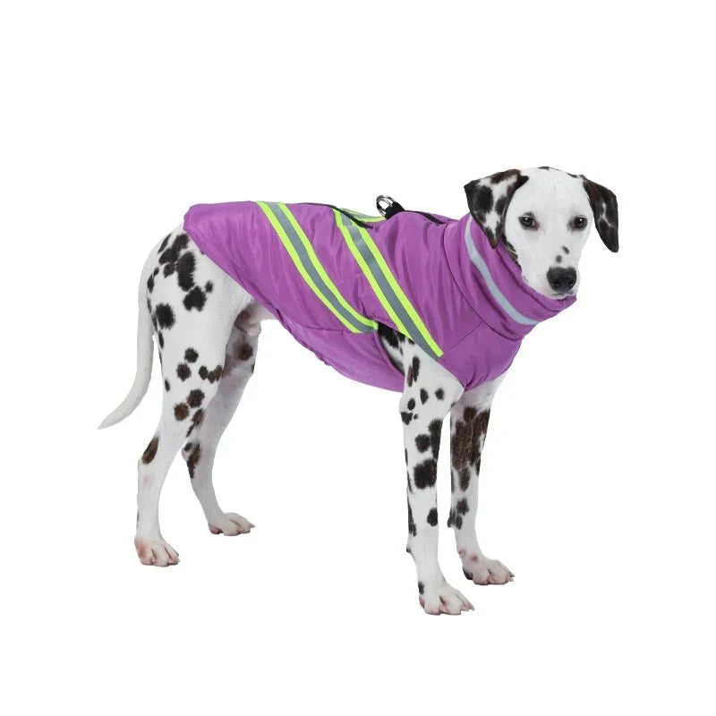 veste pour dalmatien violet