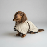 Manteau Cape Imperméable pour Teckel – protection élégante et chaude