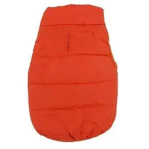 Manteau pour Border Collie & Chien moyen