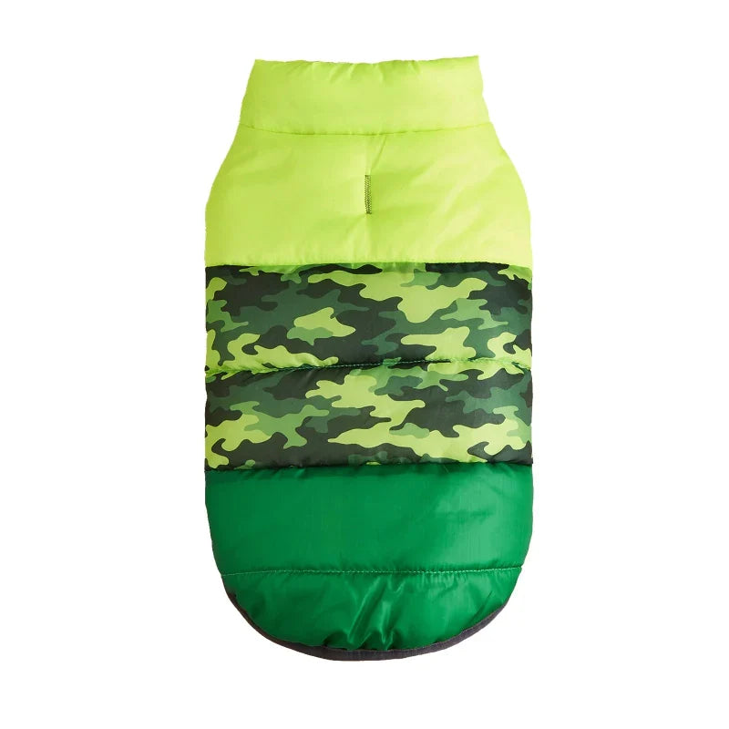 Manteau pour Border Collie & Chien moyen
