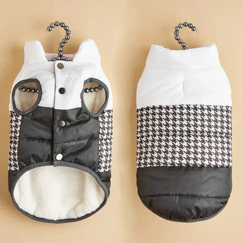 Manteau pour Border Collie & Chien moyen