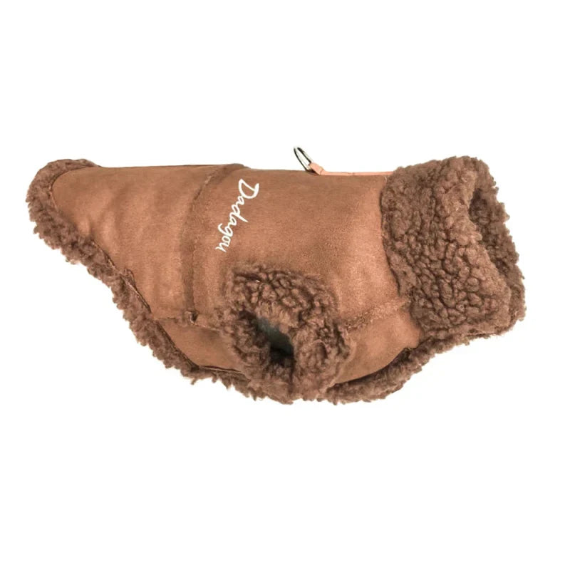 Manteau pour Caniche / Petit chien