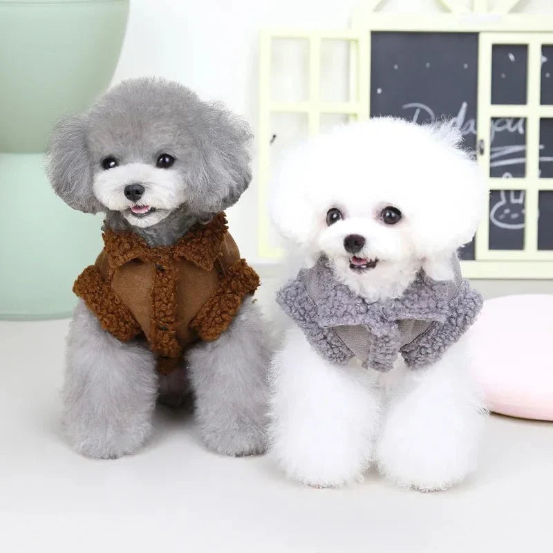 Manteau pour Caniche / Petit chien