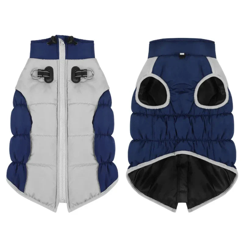 Manteau pour Dobermann / Grand chien