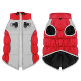 Manteau pour Dobermann / Grand chien