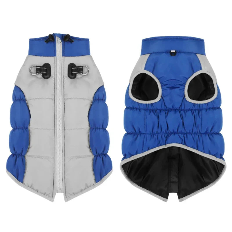 Manteau pour Dobermann / Grand chien