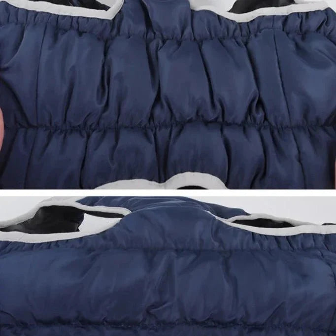 Manteau pour Dobermann / Grand chien