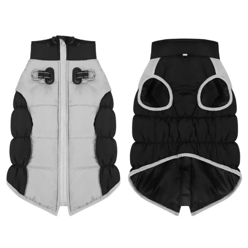 Manteau pour Dobermann / Grand chien
