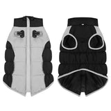 Manteau pour Dobermann / Grand chien
