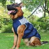 Manteau pour Dobermann / Grand chien